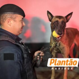 ROMU Canil localiza drogas e cumpre mandado de prisão durante operação no Conjunto Requião, em Maringá Foto 3 Fotos de ROMU Canil localiza drogas e cumpre mandado de prisão durante operação no Conjunto Requião, em Maringá