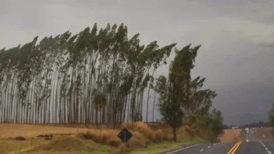Fotos de Virada no tempo no Paraná: frente fria traz chuvas, risco de tempestades e queda nas temperatura