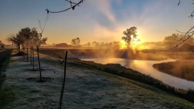 Fotos de 1°C e geadas: Nova massa de ar frio despenca as temperaturas no Paraná