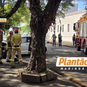 Colisão entre Corolla e van escolar deixa feridos na Zona 7, em Maringá Foto 6 Fotos de Colisão entre Corolla e van escolar deixa feridos na Zona 7, em Maringá