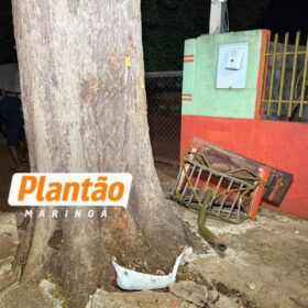 Motociclista que teve perna amputada em acidente em 2024 morre após bater contra árvore neste domingo; câmera registrou acidente Foto 3 Fotos de Motociclista que teve perna amputada em acidente em 2024 morre após bater contra árvore neste domingo; câmera registrou acidente