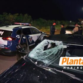 Motorista embriagado atropela e mata pedestre em Maringá Foto 12 Fotos de Motorista embriagado atropela e mata pedestre em Maringá