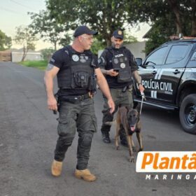 Operação da Polícia Civil mira grupo ligado ao tráfico e investigado por homicídios em Santa Fé e Sarandi Foto 11 Fotos de Operação da Polícia Civil mira grupo ligado ao tráfico e investigado por homicídios em Santa Fé e Sarandi