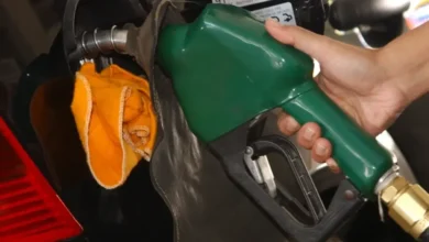 Fotos de Petrobras anuncia reajuste no preço da gasolina para as refinarias; subvenção aliviará aumento