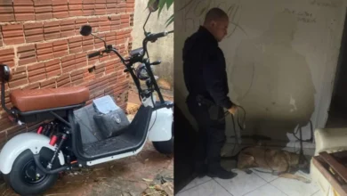 Fotos de Celular furtado é rastreado e leva polícia a casa abandonada com materiais ilícitos em Maringá