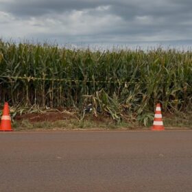 Homem é encontrado morto às margens da PR-465; polícia investiga o caso Foto 4 Polícia Civil vai investigar circunstâncias da morte – Fotos: Rafael Silvestrin/Tasabendo.com