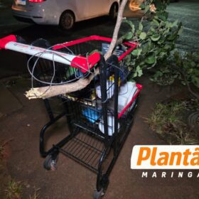 Câmera registra grave acidente entre motoboy e morador de rua; vítimas ficam em estado gravíssimo em Maringá Foto 11 Fotos de Câmera registra grave acidente entre motoboy e morador de rua; vítimas ficam em estado gravíssimo em Maringá