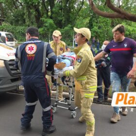 Motociclista morre após perder o controle da moto e bater contra árvore em Maringá; vídeo mostra acidente Foto 8 Fotos de Motociclista morre após perder o controle da moto e bater contra árvore em Maringá; vídeo mostra acidente