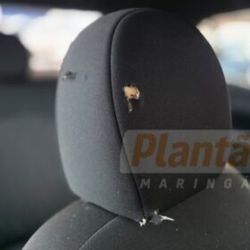 Motorista tenta atropelar guardas durante perseguição, tiros são disparados e fuga termina com prisão em Maringá Foto 1 Fotos de Motorista tenta atropelar guardas durante perseguição, tiros são disparados e fuga termina com prisão em Maringá