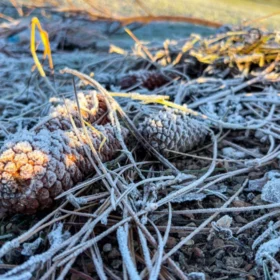 Fotos de Paraná registra sensação térmica de até -8,4°C, mas frio mais intenso ainda está por vir; veja a previsão