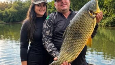 Fotos de Pescadores da região de Maringá fisgam piauçu gigante em rio no Paraná