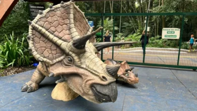 Fotos de População pede e exposição de réplicas de dinossauros no Parque do Ingá é prorrogada
