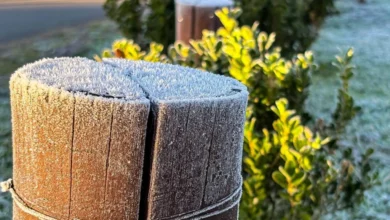 Fotos de Primeira onda de frio do inverno tem data confirmada para ‘congelar’ o Paraná com -1°C; veja quando