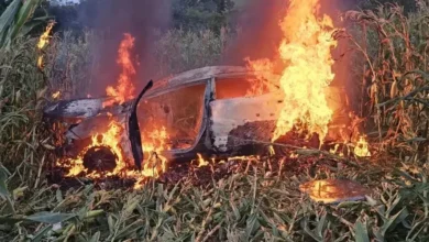 Fotos de Veículo capota e é destruído por incêndio em rodovia da região; veja