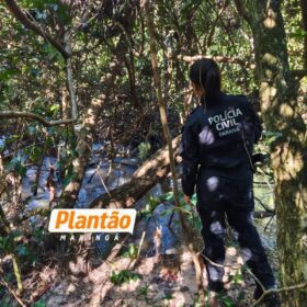 Corpo encontrado em Porto Tigre pode ser de idosa desaparecida de Maringá; identificação aguarda exames periciais Foto 8 Fotos de Corpo encontrado em Porto Tigre pode ser de idosa desaparecida de Maringá; identificação aguarda exames periciais
