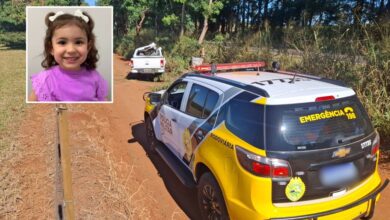 Fotos de Criança de 4 anos morre após caminhonete sair da pista e bater contra árvore na PR-317