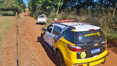 Fotos de Criança de 4 anos morre após caminhonete sair da pista e bater contra árvore na PR-317