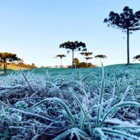 Novo alerta de frente fria atinge 243 cidades no Paraná e provoca queda de até 5°C; veja a previsão completa Foto 1 Fotos de Novo alerta de frente fria atinge 243 cidades no Paraná e provoca queda de até 5°C; veja a previsão completa