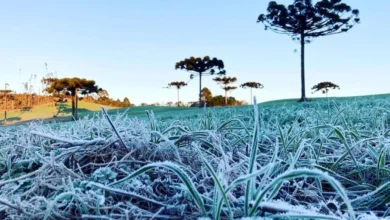 Fotos de Novo alerta de frente fria atinge 243 cidades no Paraná e provoca queda de até 5°C; veja a previsão completa
