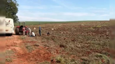 Fotos de Operação conjunta resgata 18 trabalhadores em situação análoga à escravidão em fazenda do PR